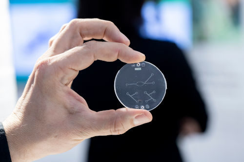 Image: Hand holding up a round, transparent, microfluidic component; Copyright: Messe Düsseldorf