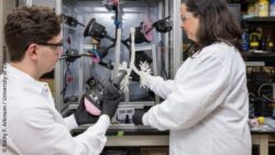 Image: Two researchers in lab coats operate a 3D lung model inside a test chamber; Copyright: Kathy F. Atkinson / University of Delaware 