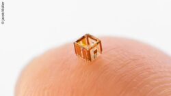 Image: The picture shows a tiny, transparent cube-shaped microrobot placed on the tip of a finger; Copyright: Jacob Müller 