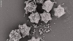 Image: The image shows a microscopic view of star-shaped 3D-printed particles; Copyright: Communications Materials, Kiel University