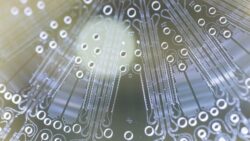 Close-up view of a transparent microfluidic chip with channels and chambers