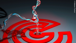 Image: The image shows a DNA double helix; Copyright: Makusu Tsutsui